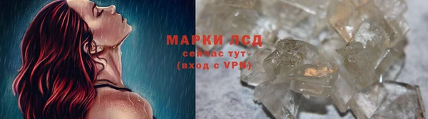 PSILOCYBIN Липки