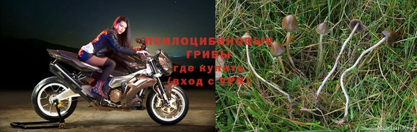 MDMA Premium VHQ Лихославль