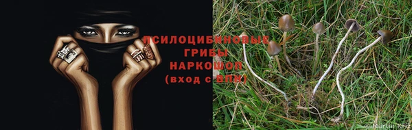молекула духа Майский