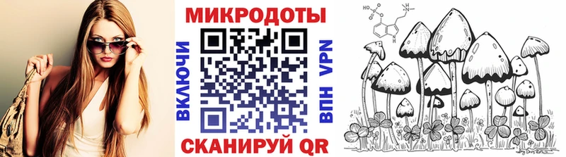 площадка состав  Мамоново  Галлюциногенные грибы Magic Shrooms 